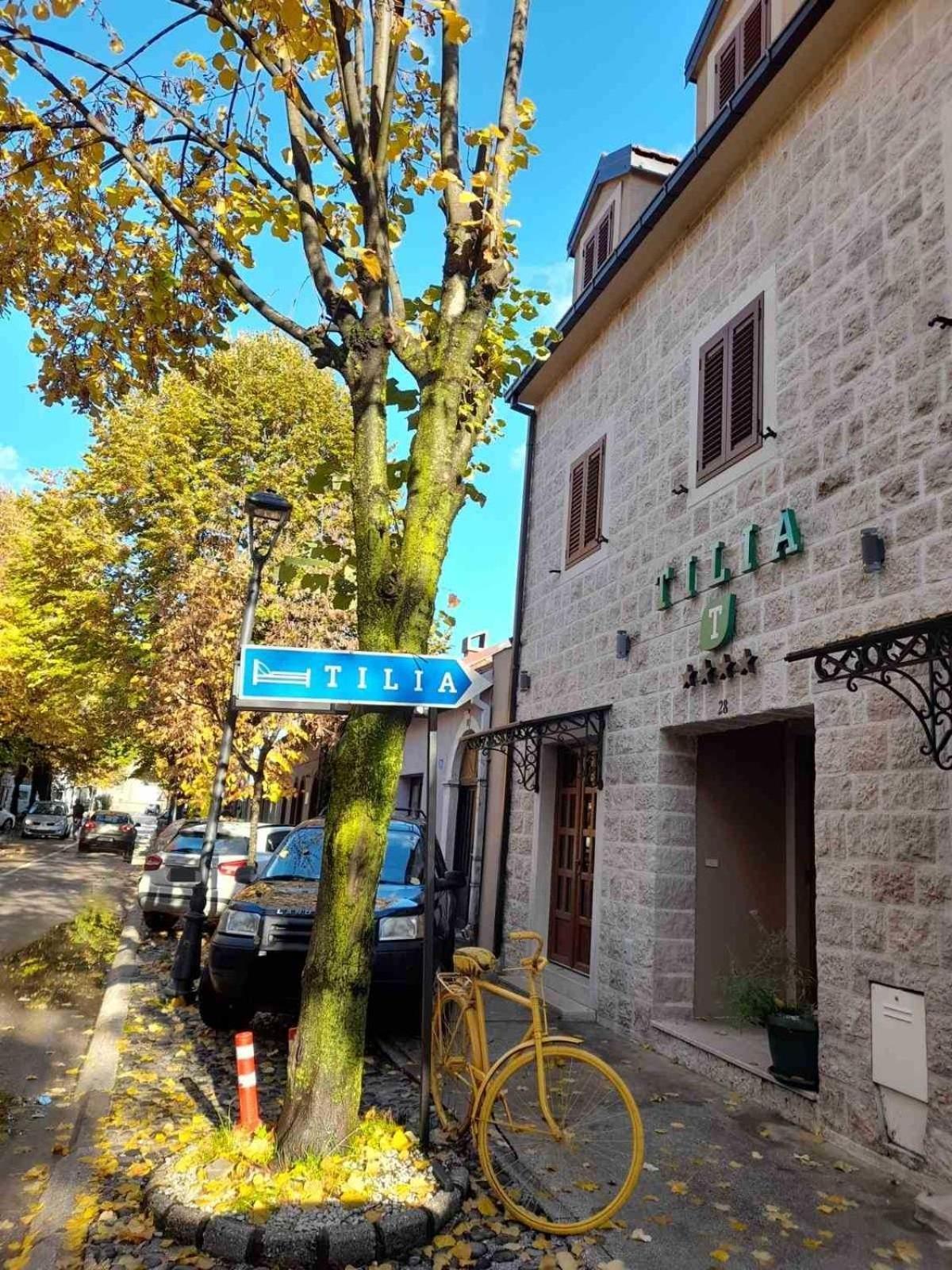 Hotel Tilia Cetynia Zewnętrze zdjęcie